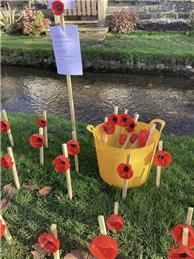 OUR VILLAGE'S GARDEN OF POPPIES