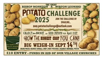 ONE POTATO, TWO POTATO, THREE POTATO..GROW