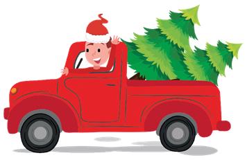 NO TRIP TO THE TIP - CHRISTMAS TREE COLLECTION ON YOUR DOORSTEP